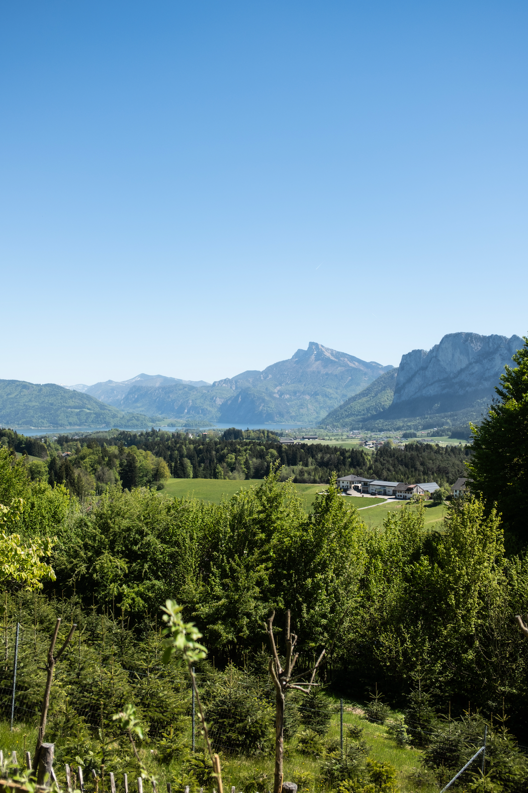 Kochkurs "Die Kraft der Natur"