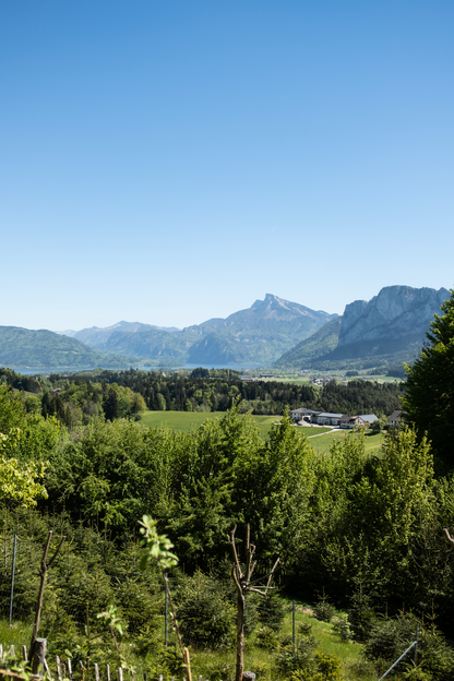 Kochkurs "Die Kraft der Natur"